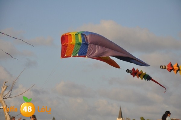 tayarat waraq (5).JPG